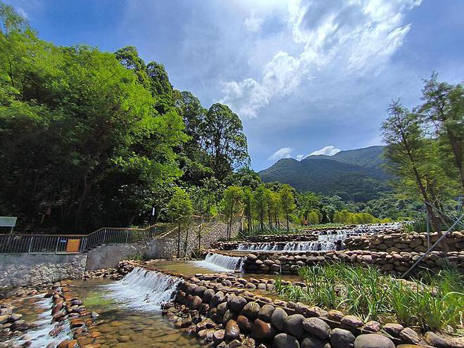 高校积极响应，地沟油回收行动启动